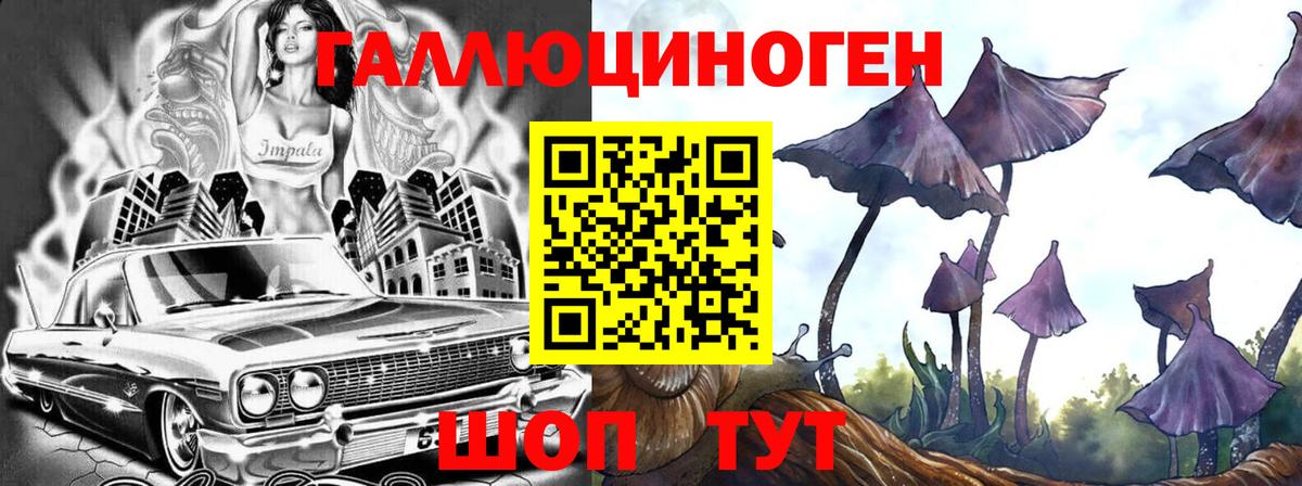 Псилоцибиновые грибы Psilocybe Борисоглебск