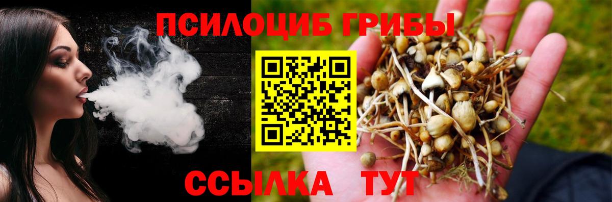 Галлюциногенные грибы ЛСД  Галлюциногенные грибы ЛСД  Борисоглебск  Вход с VPN 